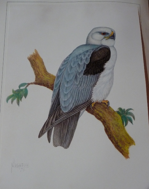 Bird (A.V.) edit. The Paintings of Norman Lighton for Roberts `Birds of South Africa`, nd., Cape