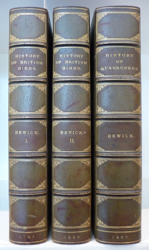 Bewick (Thomas) History of British Birds, 1797-1804, Newcastle, first edition, 2 vols., wood