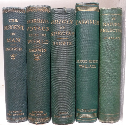 Darwin (Charles) The Origin of Species, By Means of Natural Selection .., 1872, John Murray, 6th