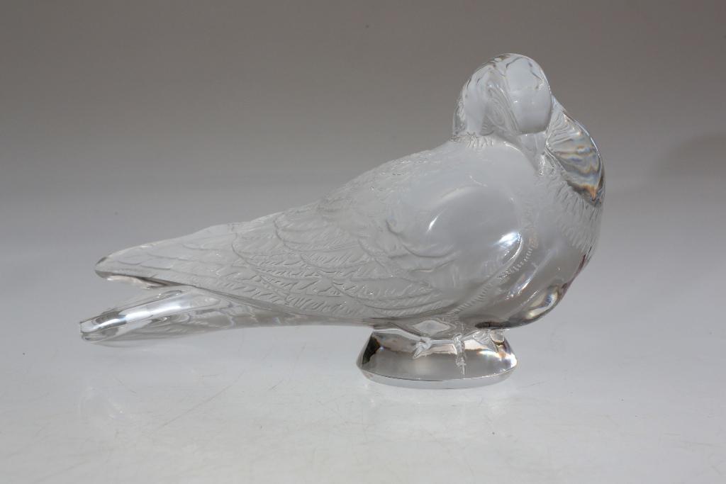 A Lalique model of a pigeon, naturalistically modelled pruning it's feathers, etched Lalique France.