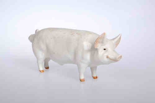 A Beswick model of a boar, "Wall Champion Boy 53rd", no. 1453A, gloss. 7cm