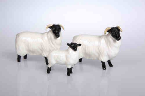 Two Beswick models of black faced rams, no. 1765, gloss; together with a Beswick model of a black