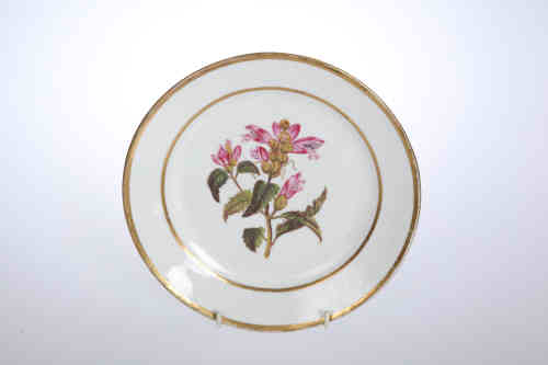 A Swansea plate, c. 1820, the "duck egg" body painted with a central botanical study within double