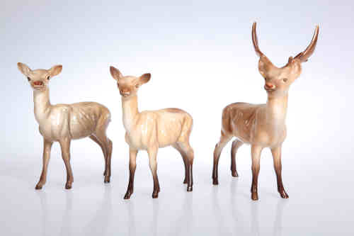 A group of Beswick, comprising standing stag, no. 981; and two does, no. 999A. (3)