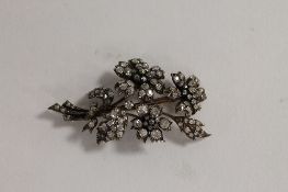 A diamond floral cluster brooch, width 6.5 cm. CONDITION REPORT: Good condition, the reverse