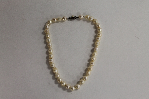 A sterling silver fresh water pearl necklace. CONDITION REPORT: Good condition, cased in a Uyeda