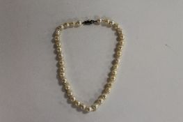 A sterling silver fresh water pearl necklace. CONDITION REPORT: Good condition, cased in a Uyeda