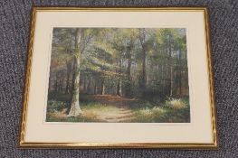 Robert Turnbull : Chopwell woods, colour chalks, signed, 29 cm x 39 cm, framed. CONDITION REPORT: