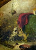 Frank Cassell : Two terriers at play, oil on canvas, signed, 29 cm x 40 cm, framed. Good condition