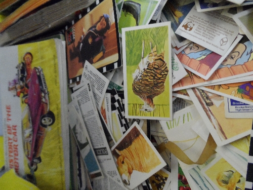 Cigarette Cards - ALBUMS, selection of 1d albums, inc. empty (50), stuck down (25), Ogdens Photo