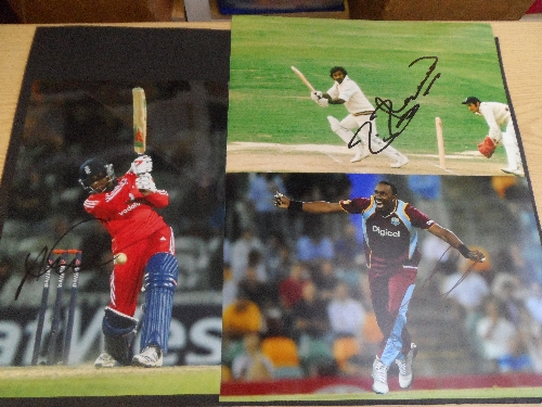 CRICKET, signed photos, 11 x 8 and smaller, inc. 2013 India, Cooke, Hallam, Middlesex, Thorpe,