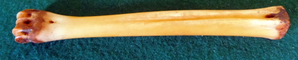 A vintage bone polishing stick