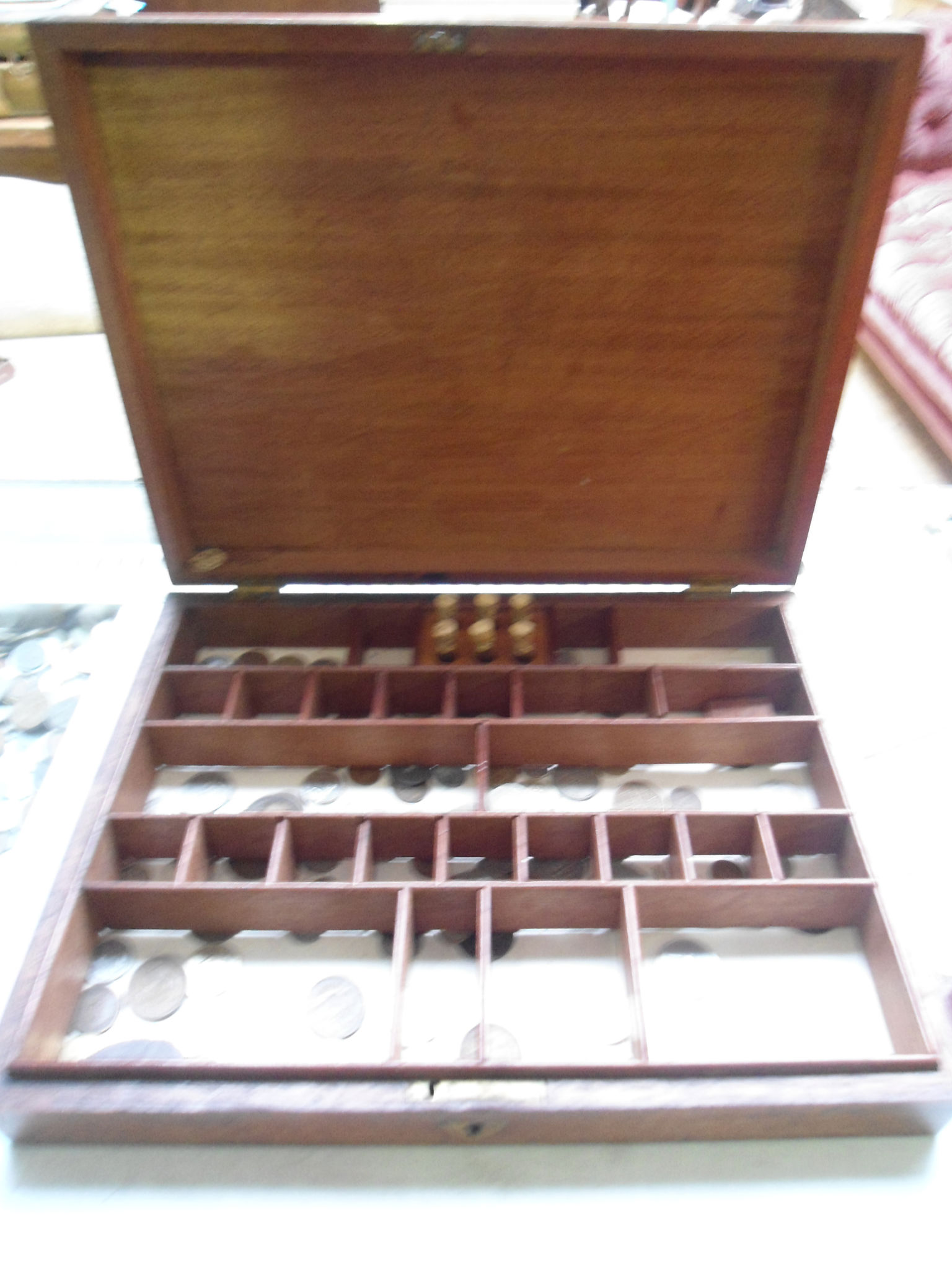 A late C19 specimen box retailed by Dandy and Steers with internal divisions