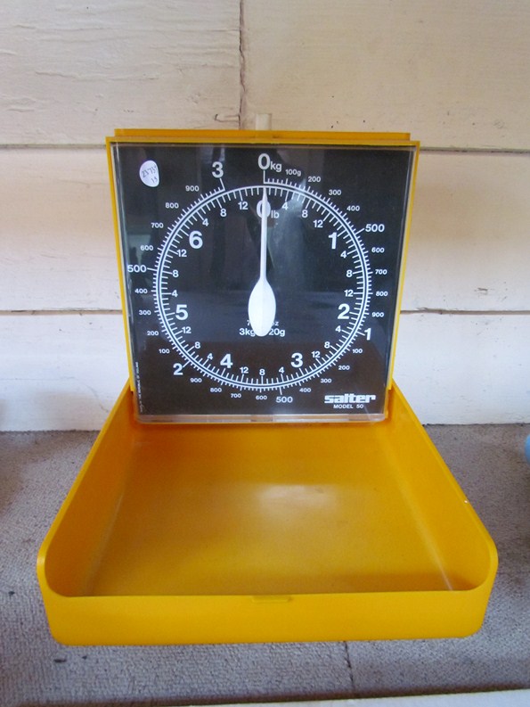 A Salter model 50 kitchen scales in yellow