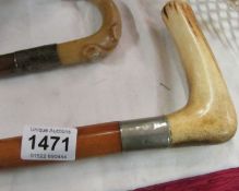A walking stick with horn handle