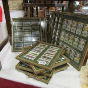 A quantity of framed Aviation, railway and shipping cigarette cards