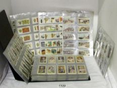 An album and a mixed lot of loose sheet tea cards