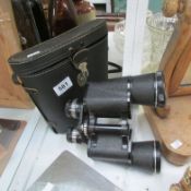Cased binoculars