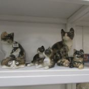 6 Art pottery cats