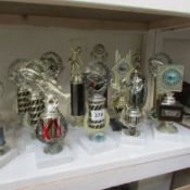 A collection of angling trophies