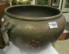 A large copper pot with elephant head handles