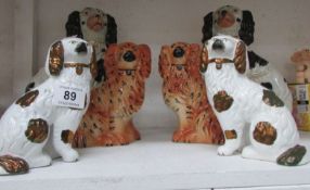 3 pairs of Staffordshire spaniels