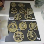 A quantity of horse brasses