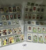 Approximately 2000 cigarette cards