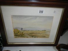 A framed watercolour.