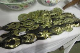 A quantity of horse brasses