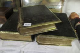 3 large family Bibles