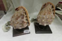 2 sea shell table lamps on oak bases