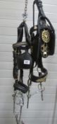 2 Leather blinkers with brasses