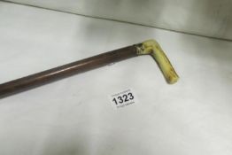 A horn handled walking cane