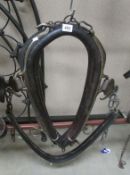 A large leather horse collar