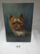 An oil of a Yorkshire terrier signed M Jones