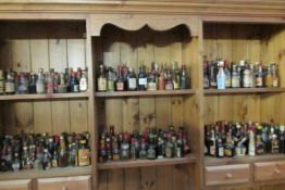 A large collection of miniature wines and spirits