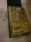 An Album of cigarette cards inc Will's Aviation, Ogdens birds and their eggs, rare stamps etc