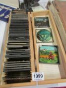 A quantity of glass slides inc. Nursery rhymes, (part sets or single slides)