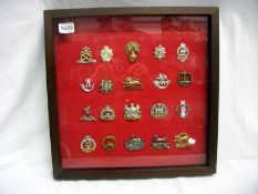 A gilt framed display of 20 military cap badges