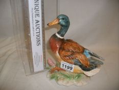 A Continental porcelain mallard