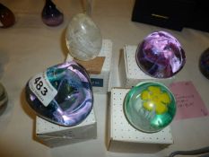 4 Small boxed Caithness paperweights being 'Blessings white', 'Buttercup' and 2 'Pebble'
