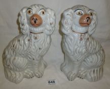 A Pair of Victorian Staffordshire dogs