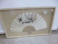 A hand painted fan in glass case