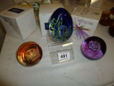 3 boxed Caithness paperweights being 'Bewitched', 'Golden Crown' and 'Fairytale Twinkle'