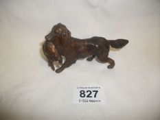 A bronze retriever with hare in mouth