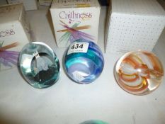 3 Caithness paperweights being 'Ribbons Ruby', 'Alpine Winter' and 'Wave Dancer'