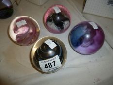4 Caithness paperweights including 'Neon' and 'Razzamataz'
