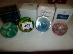 4 boxed Caithness paperweights being 'Sea gem', Yellow Carnation', 'Reflections' and 'Moonflower'