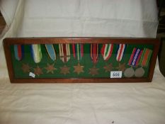 A case of WW2 campaign medals